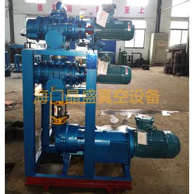 <b>JZJS水環(2BV)羅茨真空機組</b>